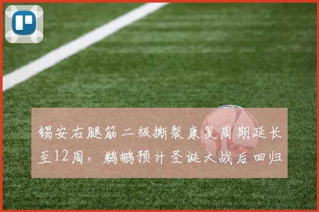 锡安右腿筋二级撕裂康复周期延长至12周，鹈鹕预计圣诞大战后回归